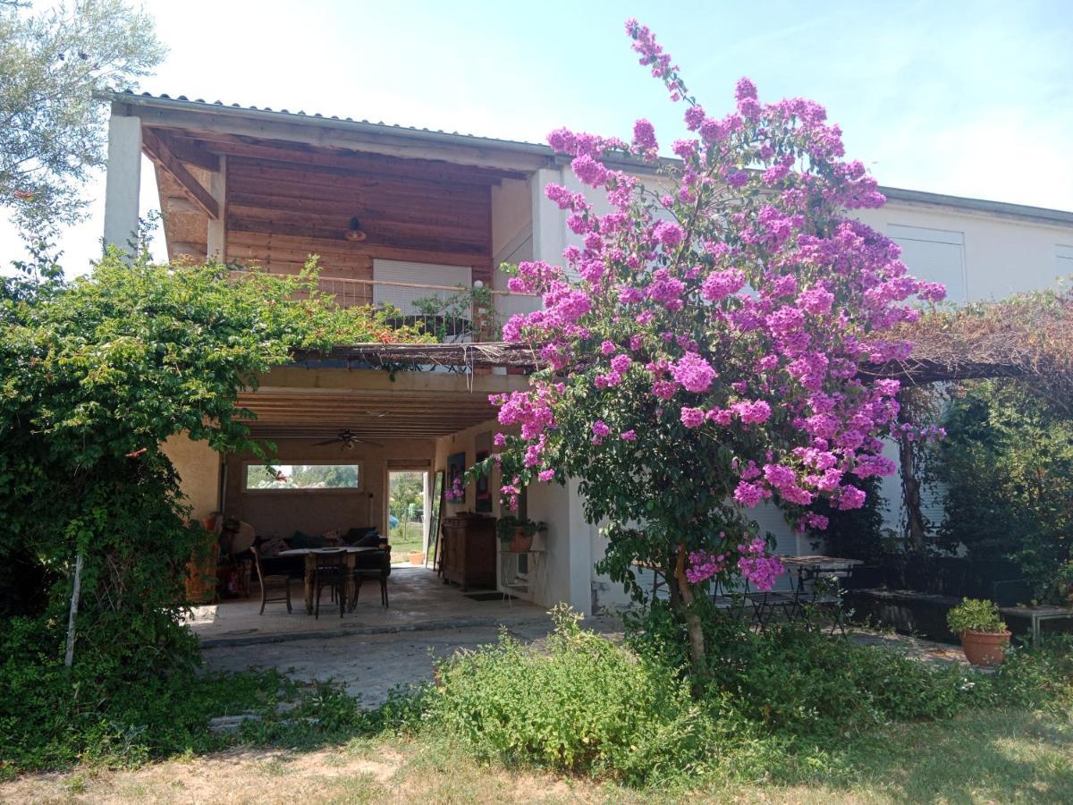 Domaine Limouzy Villa Narbonne Eksteriør billede