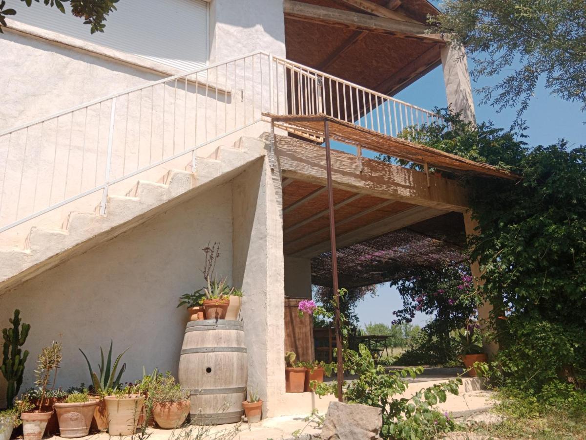 Domaine Limouzy Villa Narbonne Eksteriør billede