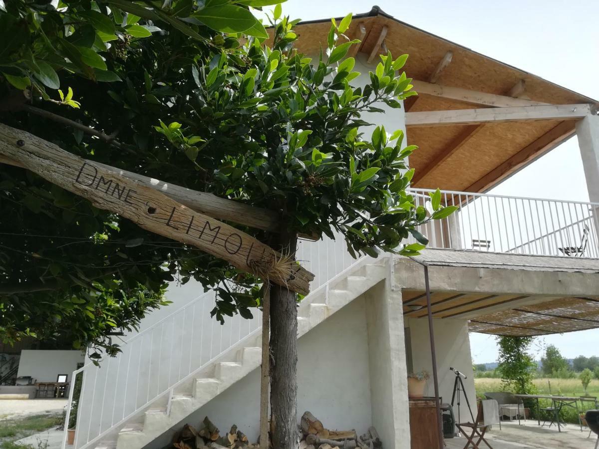 Domaine Limouzy Villa Narbonne Eksteriør billede
