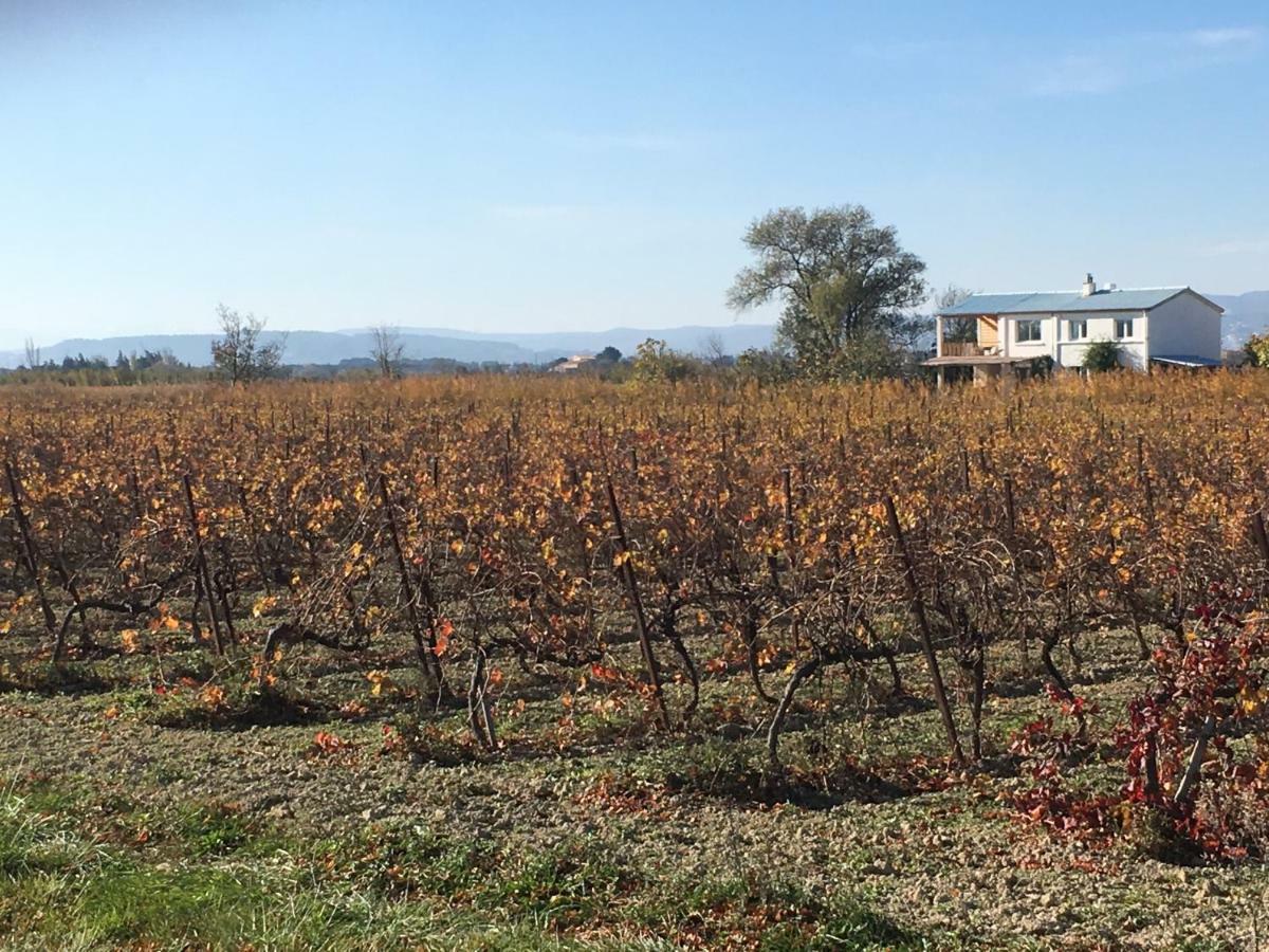Domaine Limouzy Villa Narbonne Eksteriør billede